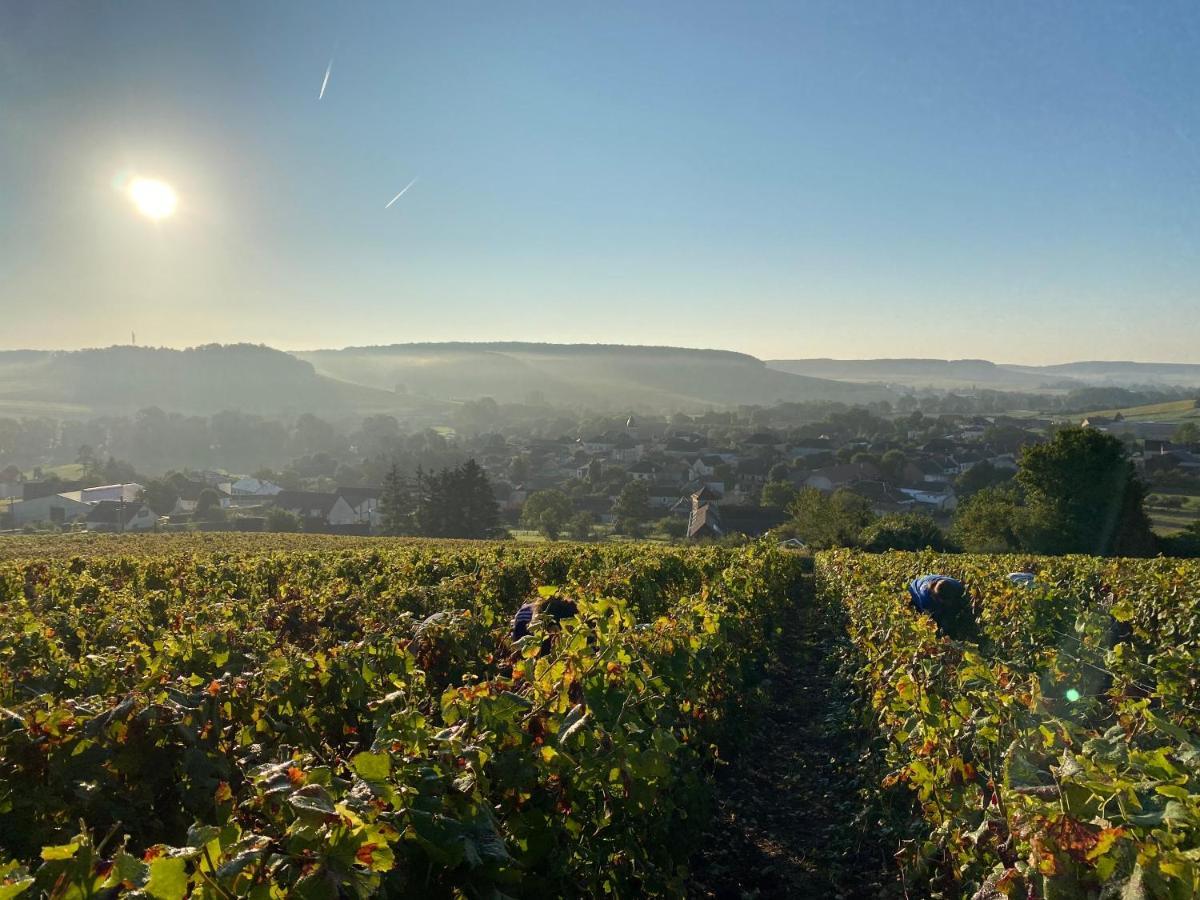Nuit'S Feerique En Champagne Villa Meurville Kültér fotó