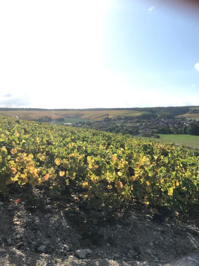 Nuit'S Feerique En Champagne Villa Meurville Kültér fotó