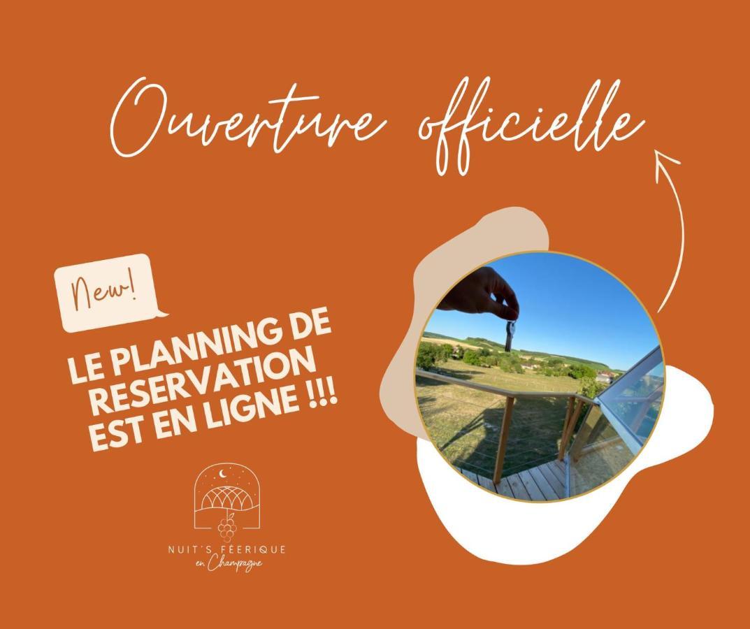 Nuit'S Feerique En Champagne Villa Meurville Kültér fotó